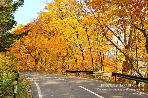 【北海道】札幌から日帰り圏内！ハズせない絶景紅葉スポット13選！