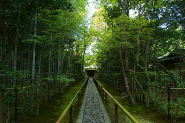 京都でおすすめの寺・神社49選！観光客に人気＆世界遺産の寺社リスト