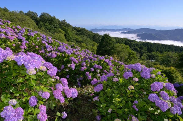 関東のおすすめ絶景スポット22選！感動の景色を見に出かけよう