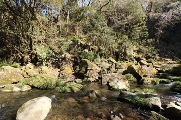 【熊本】生茶CMロケ地！水のカーテンは必見「鍋ヶ滝」散策ポイント6選＆周辺情報