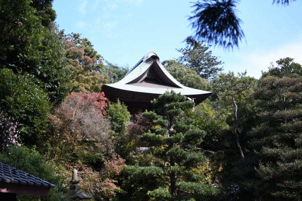 日本とは思えない！まるで古代遺跡みたいな山【神奈川・鷹取山】