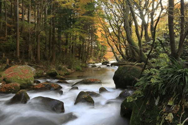 日本の人気の渓谷・峡谷TOP24！旅行好きが行っている全国の渓谷＆峡谷ランキング