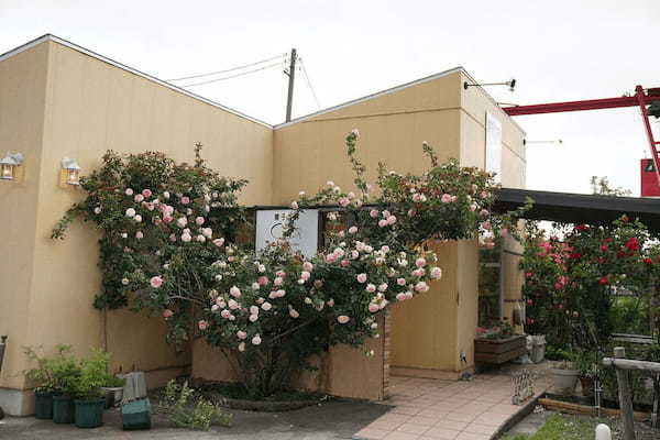 亀田駅のケーキ屋おすすめ4選！手土産・誕生日に人気な名店や駅チカ店も！