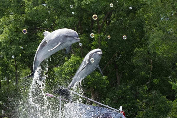  四国地方の人気水族館TOP9！みんなが行っている水族館ランキング