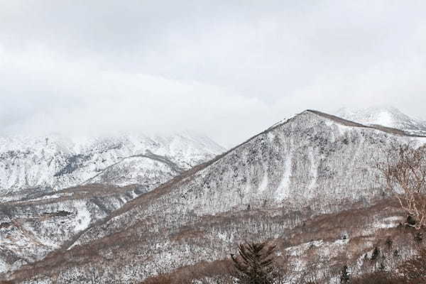 【体験記事】新感覚！？那須の雪山でスノーサイクリングをしてみた！