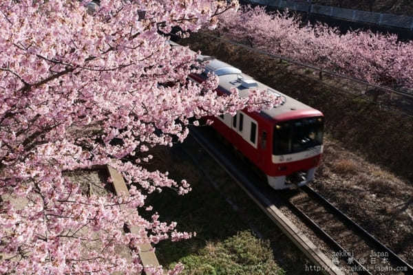 神奈川【マホロバ・マインズ三浦】大人数もOK！皆で楽しめる広々ホテルと観光スポット