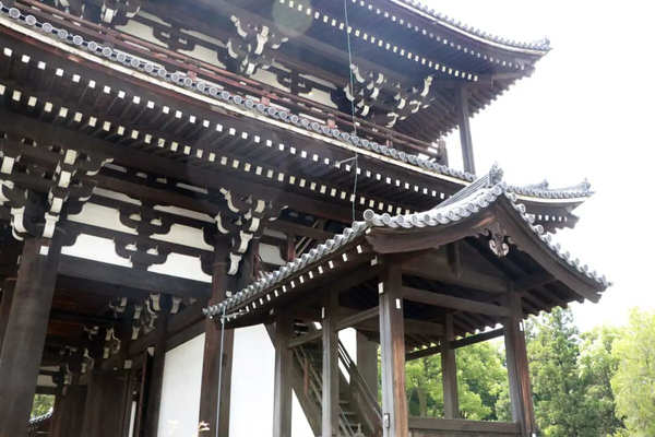 青もみじってこんなに美しいのか…　京都・東福寺に出現した「緑の海」に感激