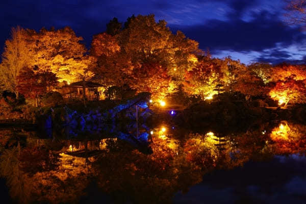 【群馬県】国指定名勝「桜山公園」を包み込む紅葉ライトアップと冬桜のコラボを見に行こう