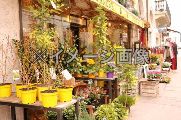 延岡市のおしゃれな花屋10選！便利な駅前店やアレンジ花束が人気な店も！