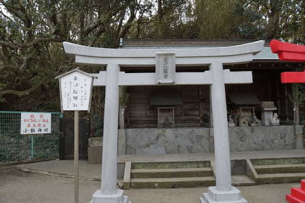 【神奈川・小動神社】神様が大歓迎してくれる神秘的な神社1.jpg