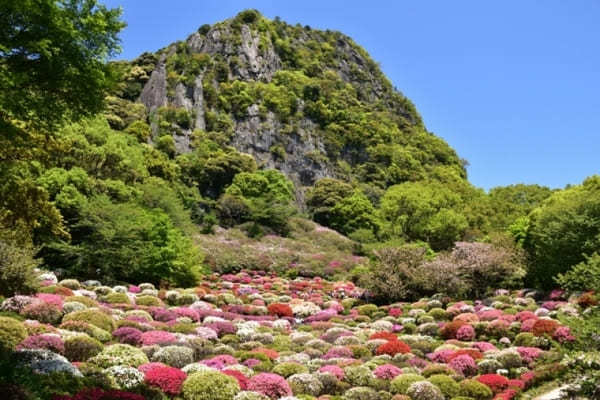 全国のおすすめ花畑85選！一面に絶景が広がる花の名所ガイド