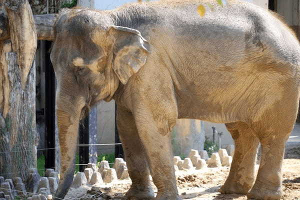 九州の人気動物園TOP10！みんなが行っている動物園ランキング1.jpg