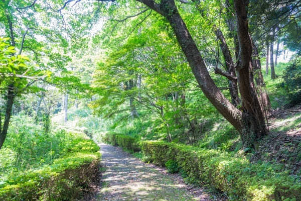 熱海の守護神！頼朝と政子が結ばれた伊豆山神社で縁結び祈願