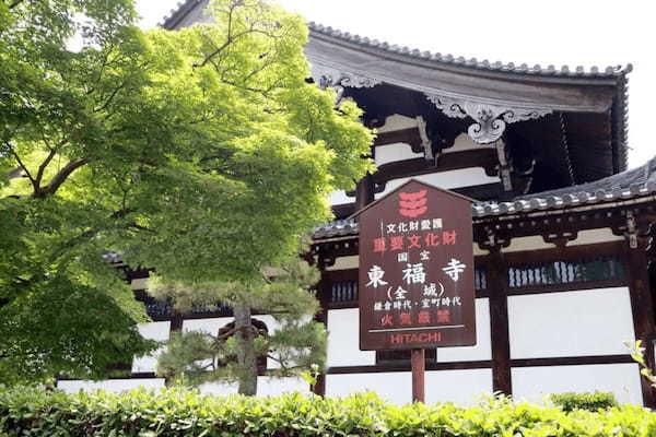 青もみじってこんなに美しいのか…　京都・東福寺に出現した「緑の海」に感激