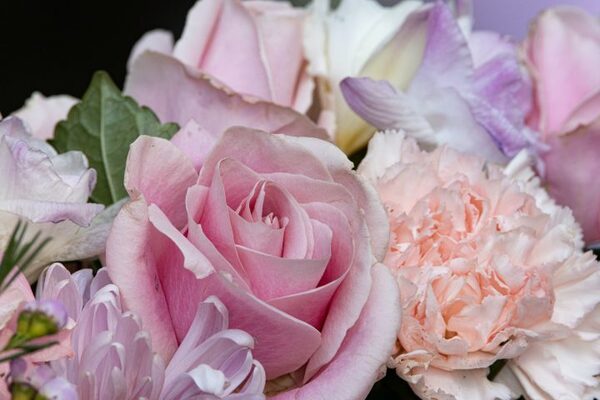 卒業にぴったりな花言葉を持つ花を厳選。お祝いの門出に人気の華やかなお花たち