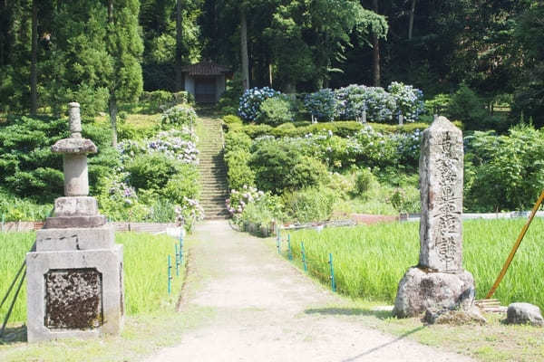 石見銀山遺跡・仁摩サンドミュージアムをめぐる日帰りモデルコース【島根】