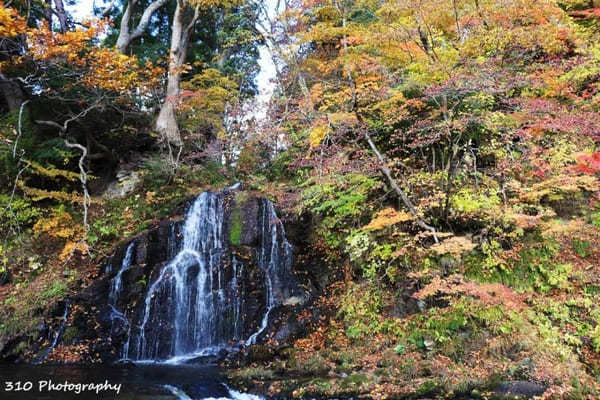 【青森】黒石の人気紅葉スポット中野もみじ山