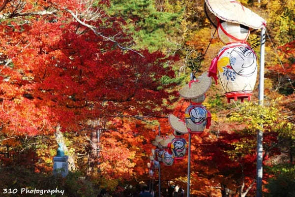 【青森】黒石の人気紅葉スポット中野もみじ山