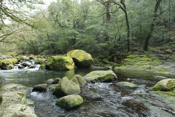 【熊本】大自然すぎる！菊池渓谷の見どころ7選＆合わせて楽しみたいカヤック体験