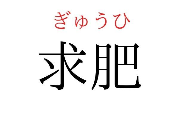 読めないと恥ずかしい？！「求肥」の読み方