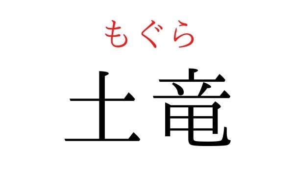 【読めたらすごい】「土竜」何て読む？