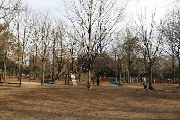 【東京・木場公園】河津桜でお花見♪2月から都心で桜を楽しもう1.jpg