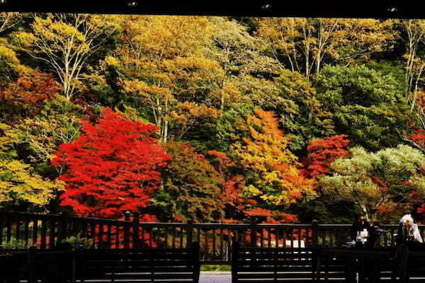 塩原温泉郷いで湯満喫の紅葉ドライブ【栃木】