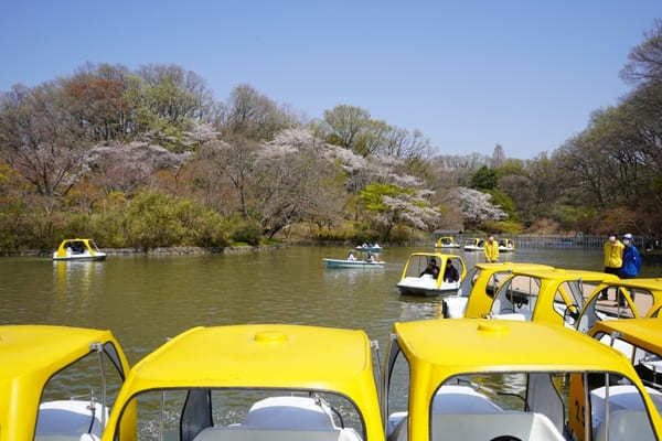 子どもと行きたい横浜のおすすめ公園22選！大型遊具・ロング滑り台など設備充実の公園特集