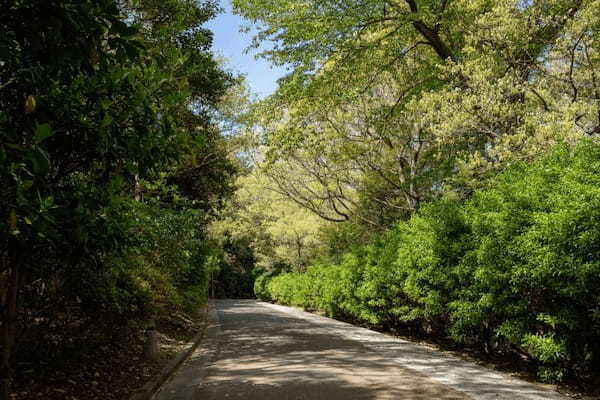 【香川】高松の夜景を一望「屋島」の魅力を紹介！1.jpg