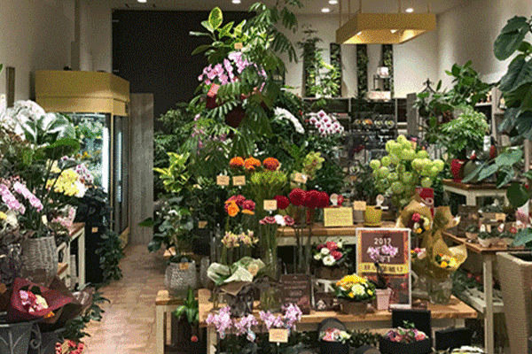 松本市の花屋さん17選！おしゃれな駅前店やギフトアレンジが人気の店も！