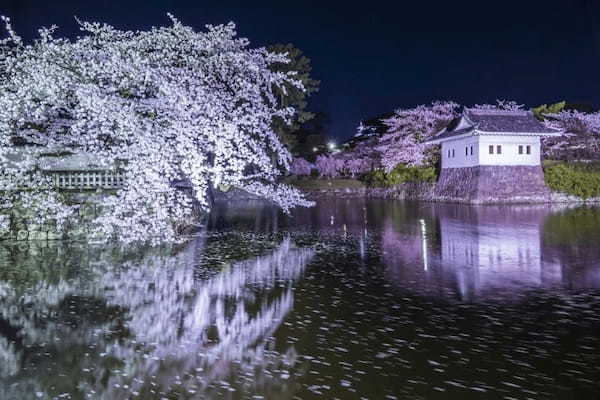 春の国内旅行におすすめの観光地44選！春がベストシーズンの旅先ガイド1.jpg