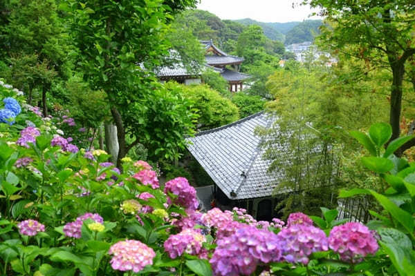 見どころいっぱい！鎌倉随一の楽しいお寺「長谷寺」を徹底ガイド