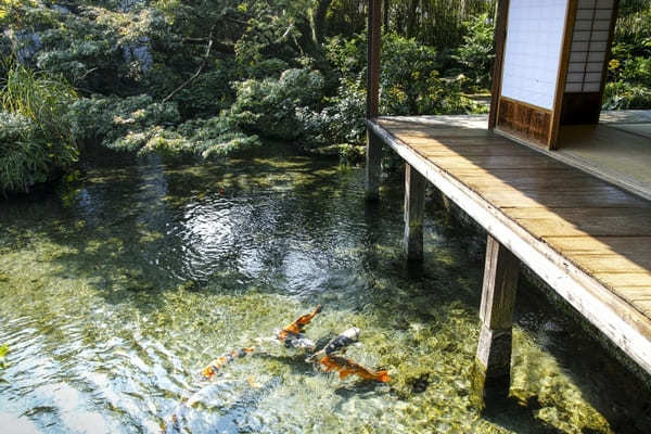 煌く湧水に癒される町 長崎島原で「湧水庭園四明荘」とその周辺を巡る