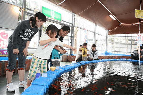 阿蘇ファームランドの遊び・温泉・グルメ・宿情報を完全紹介