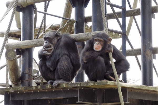 関東の人気動物園TOP16！みんなが行っている動物園ランキング1.jpg