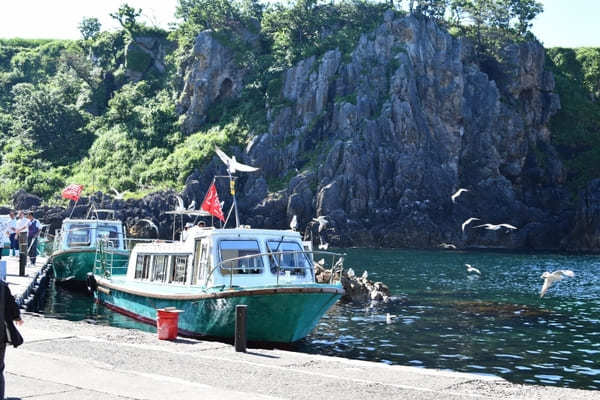 【佐渡】元祖『君の名は』聖地「尖閣湾揚島遊園」