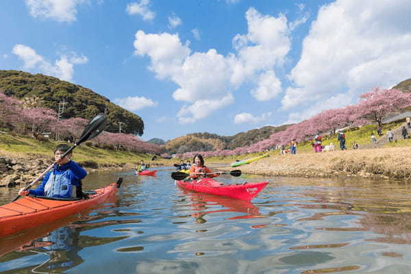 川の流れに乗ってとびっきりのお花見体験！南伊豆で楽しむ絶景カヤックツアーが最高に気持ちいい