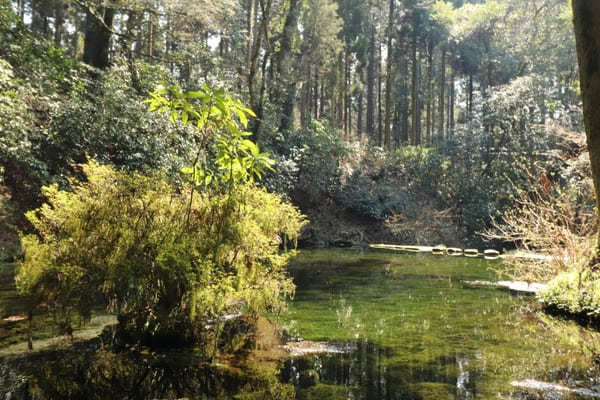 【熊本】生茶CMロケ地！水のカーテンは必見「鍋ヶ滝」散策ポイント6選＆周辺情報