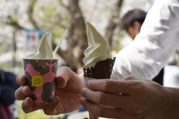 子どもと行きたい横浜のおすすめ公園22選！大型遊具・ロング滑り台など設備充実の公園特集