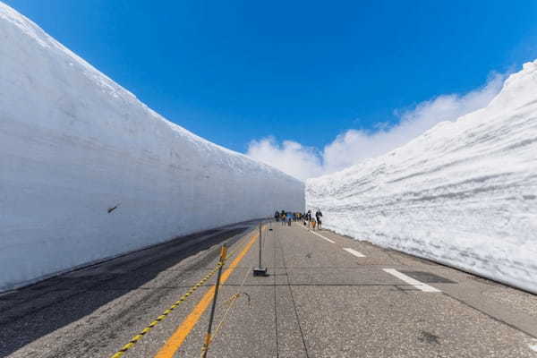 春の国内旅行におすすめの観光地44選！春がベストシーズンの旅先ガイド1.jpg