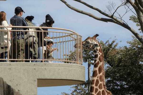 関東の人気動物園TOP16！みんなが行っている動物園ランキング1.jpg