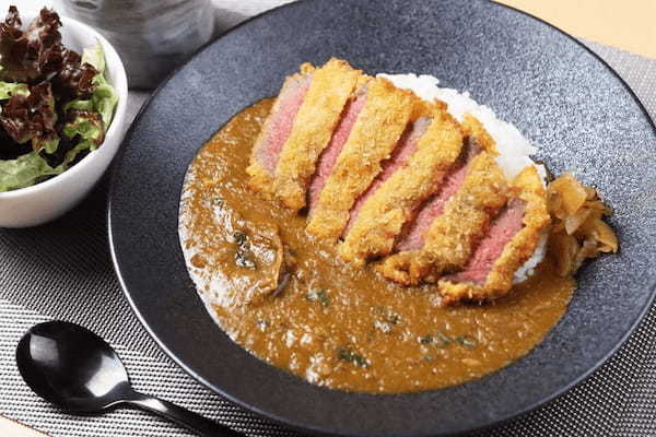 川崎駅周辺の絶品カレー13選！ランチが美味しい人気店やナン食べ放題の名店も！