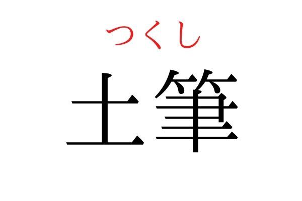 【読めたらすごい】「土筆」何て読む？