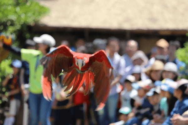 【2021年版】全国の人気動物園TOP19！みんなが行った動物園ランキング1.jpg