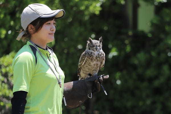 関東の人気動物園TOP16！みんなが行っている動物園ランキング1.jpg