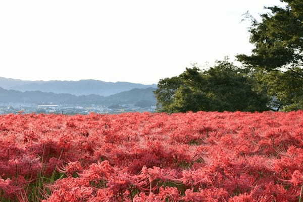 奈良県で田舎暮らし！奈良県に住むメリットデメリットやおすすめの自治体について紹介