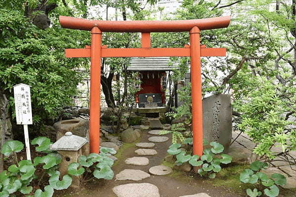 愛宕神社 東京23区最高峰の神社！？出世の石段を登って運気アップ！