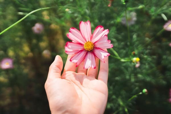 死にほくろが手のひらにある意味は？手に現れる幸運サインと凶サイン