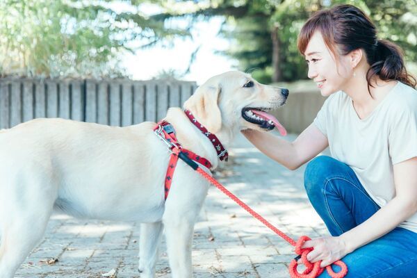 家事代行でペットのお世話を頼むときの注意点！どこまで依頼できる？事前準備は必要？