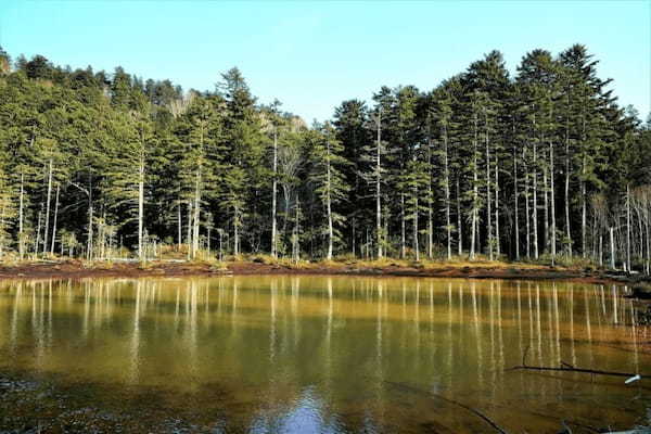 【北海道三大秘湖】の1つ！別名「五色沼」と呼ばれるオンネトーの見どころ紹介1.jpg